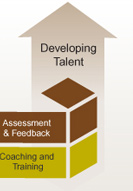 Developing Talent
